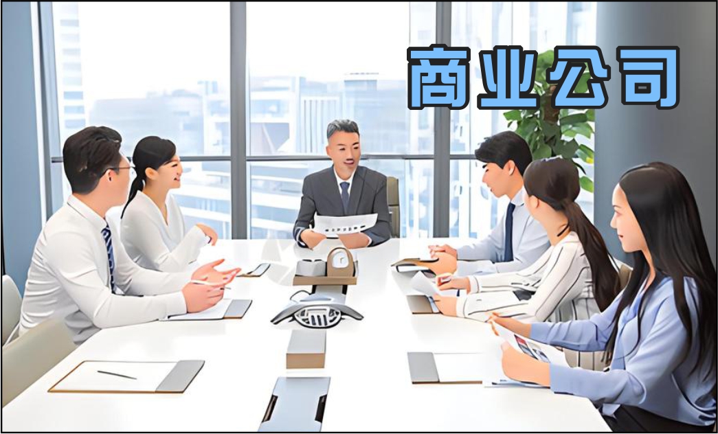 商业公司